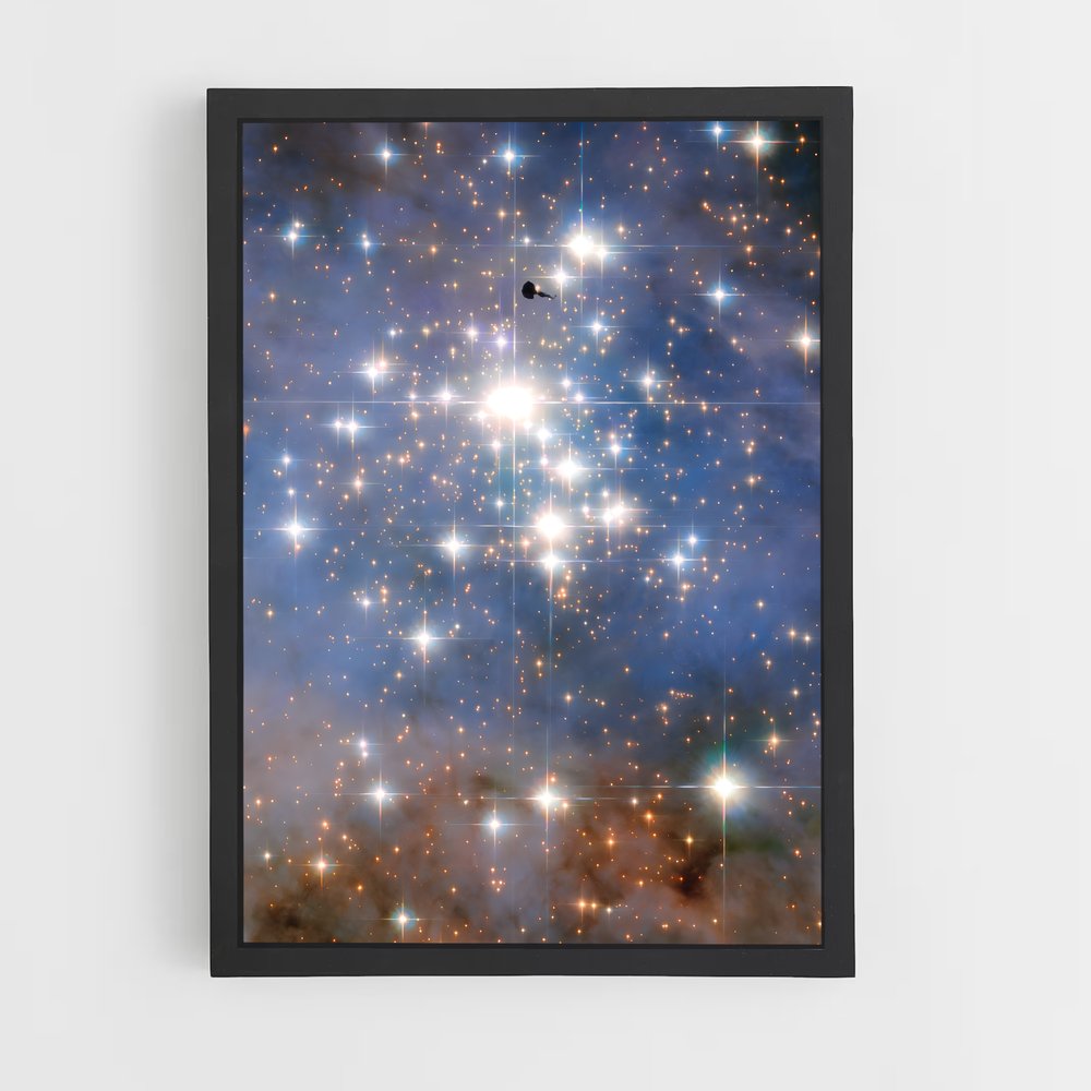 Poster Oiseau des Étoiles (vue 2)
